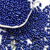 Baking Paint Glass Seed Beads SEED-L011-12A-11-1