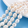 Natural Keshi Pearl Beads Strands PEAR-S020-C02-1