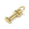 Rack Plating Brass Charms KK-P245-06G-I-2