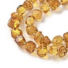 Natural Amber Beads Strands G-L095-E01-07-4