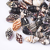 Spiral Shell Beads SSHEL-T008-23-1