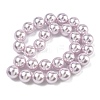 Electroplated Shell Pearl Beads Strands BSHE-G041-14mm-06-4