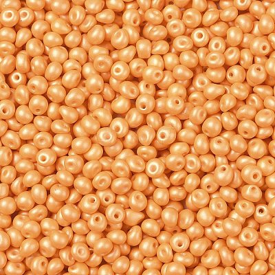 6/0 Glass Seed Beads SEED-L011-08A-19-1