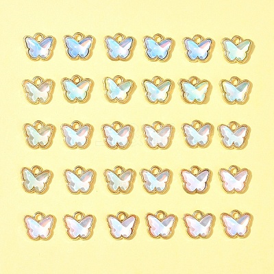 30Pcs Alloy Glass Charms FIND-FS0002-79-1
