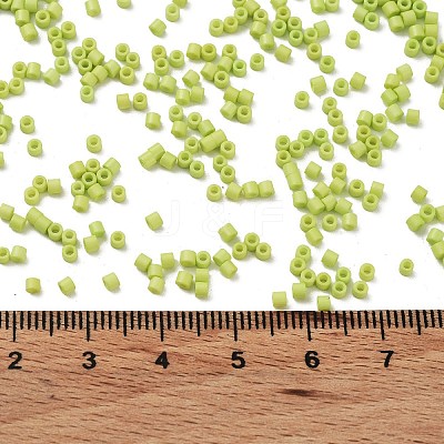Baking Paint Glass Seed Beads X-SEED-S042-05B-62-1