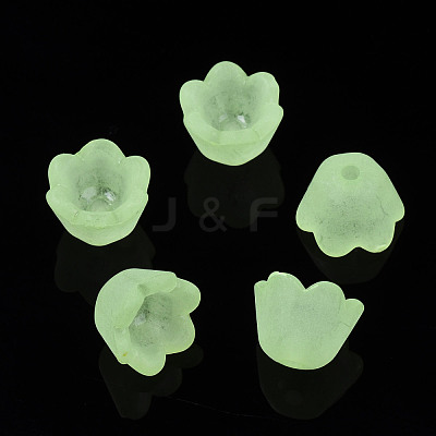 Transparent Acrylic Beads X-FACR-N005-001-1