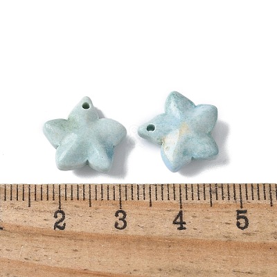 Natural Rainbow Alashan Agate Charms G-G194-02A-1