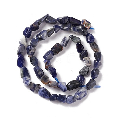 Natural Sodalite Beads Strands G-E115-01-1