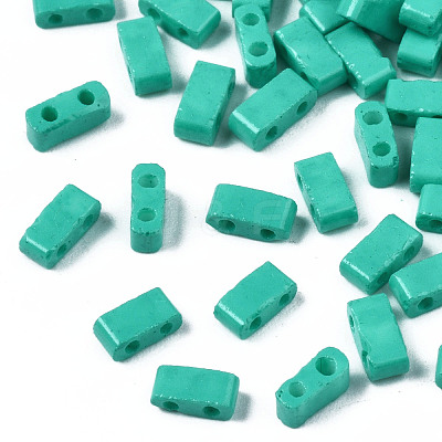 2-Hole Baking Paint Glass Seed Beads SEED-S023-17B-05-1