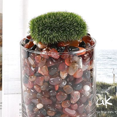Dyed & Heated Natural Agate Beads X1-G-J402-04B-02-1
