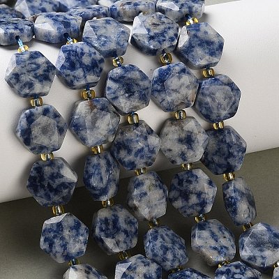 Natural Blue Spot Jasper Beads Strands G-H344-B02-01-1