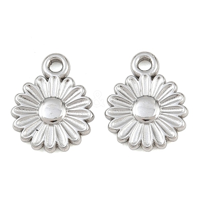 304 Stainless Steel Charms SA-CBA1839-13P-1