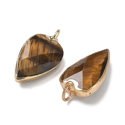 Natural Tiger Eye Pendants G-G012-13G-10-1