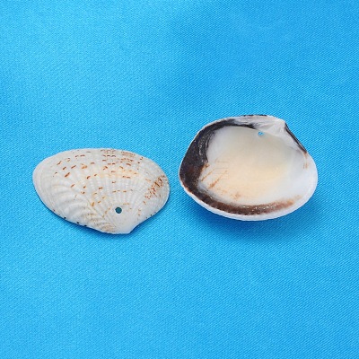 Natural Shell Beads PTS022Y-1