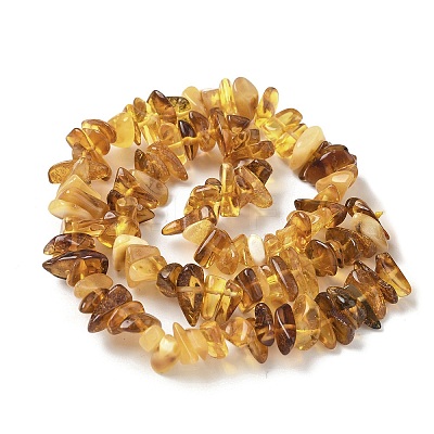 Natural Amber Beads Strands G-L095-D01-01-1