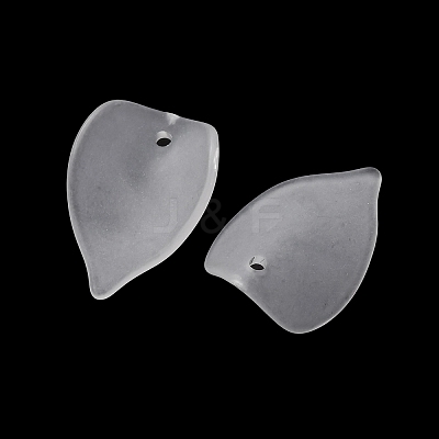 Frosted Acrylic Pendants AC-CBA1E6C-02-1