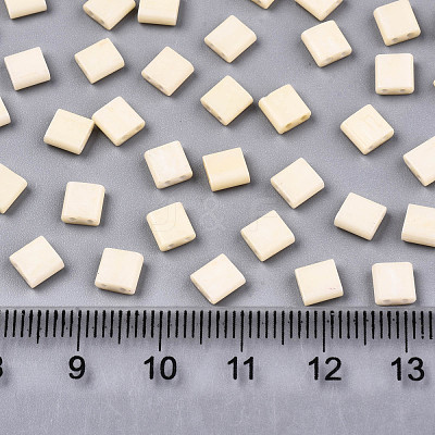 FGB 2-Hole Glass Seed Beads X-SEED-S031-L-ST1001F-1