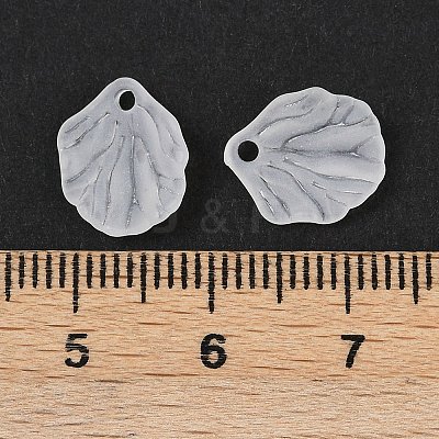 Transparent Acrylic Pendants X-MACR-L008-01-1
