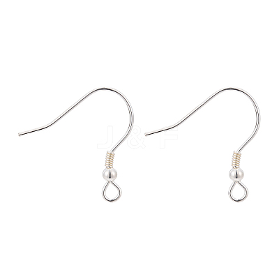 925 Sterling Silver Earring Hooks STER-T002-166S-1