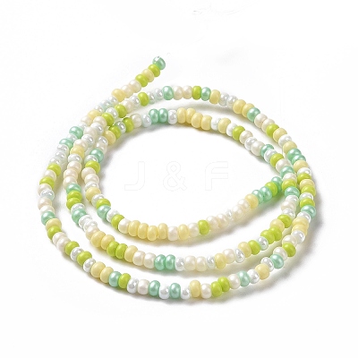 Glass Seed Bead Strands LAMP-B021-04B-1