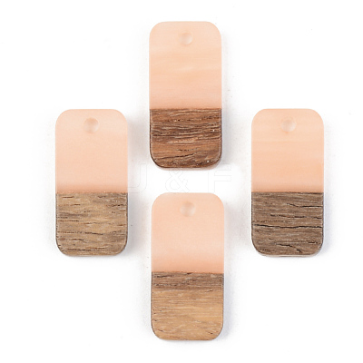 Opaque Resin & Walnut Wood Pendants RESI-S389-044A-C02-1