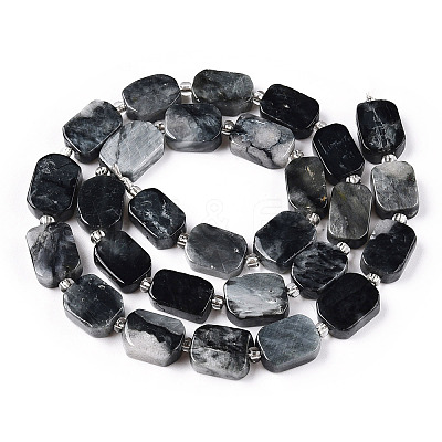Natural Eagle Eye Stone Beads Strands G-T138-05-1