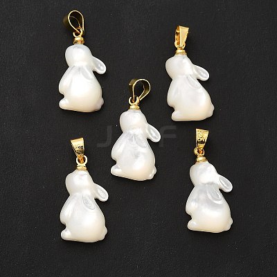 Natural White Shell Pendants SHEL-G014-13A-1