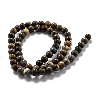 Round Natural Ocean Agate/Ocean Jasper Beads Strands G-O199-02A-1