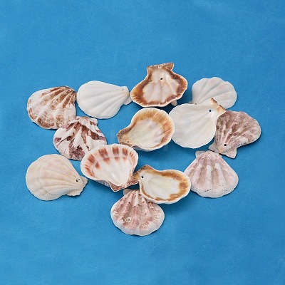 Natural Scallop Shell Beads BSHE-S108-1