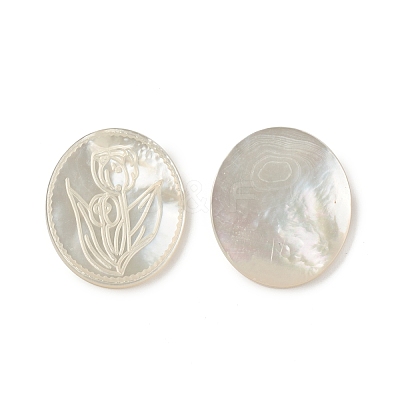 Natural Sea Shell Cabochons SSHEL-T012-14-1