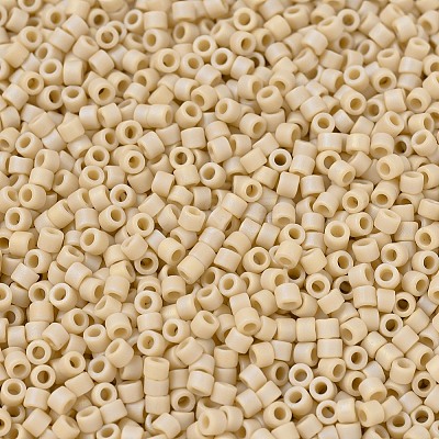 MIYUKI Delica Beads X-SEED-J020-DB1591-1