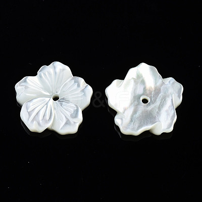 Natural White Shell Mother of Pearl Shell Beads SSHEL-T014-42A-1