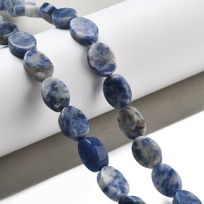 Natural Blue Spot Jasper Beads Strands G-P559-B26-01-1