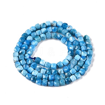 Natural Apatite Beads Strands G-N342-122-1