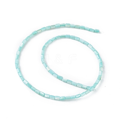 Natural Freshwater Shell Dyed Beads Strands SHEL-M018-12-06-1