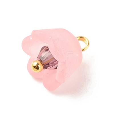 Transparent Acrylic Charms PALLOY-JF01603-02-1