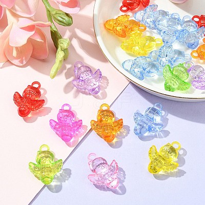 50g Transparent Acrylic Pendants TACR-YW0001-69-1