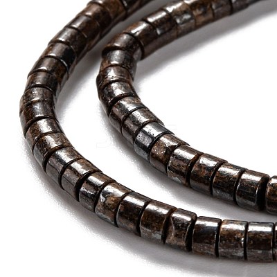 Natural Bronzite Bead Strands G-F631-A43-1
