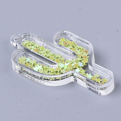 Transparent Acrylic Pendants TACR-R145-01-1