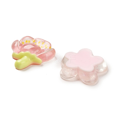 Translucent Resin Cabochons RESI-F045-01-1