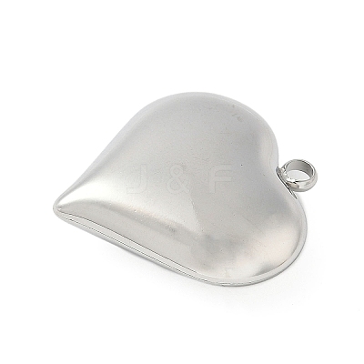 304 Stainless Steel Pendants STAS-S186-06B-P-1