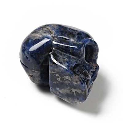 Halloween Natural Sodalite Display Decorations DJEW-K015-31-1