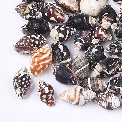 Spiral Shell Beads SSHEL-T008-23-1