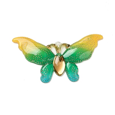 Gradient Color Resin Pendants RESI-Q012-03F-1