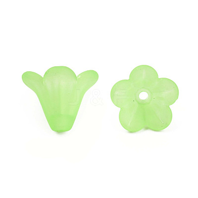 Frosted Acrylic Beads PL692-8-1
