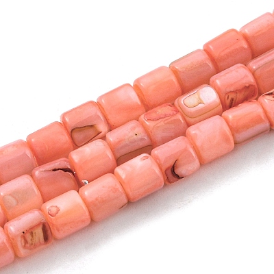 Natural Freshwater Shell Beads Strands SHEL-F008-04F-1