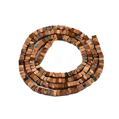 Natural Picture Jasper Beads Strands G-N342-74-1