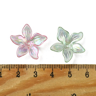 Transparent Acrylic Bead Caps OACR-O006-05-1