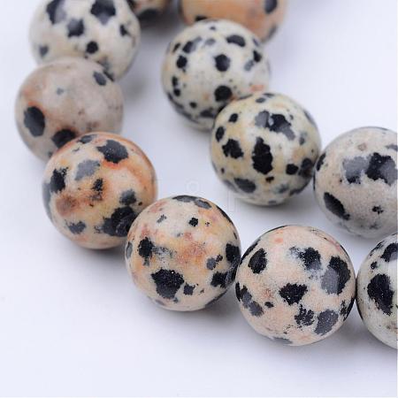 Natural Dalmatian Jasper Beads Strands G-Q462-4mm-30-1