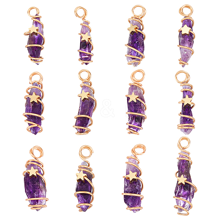 12Pcs Natural Gemstone Copper Wire Wrapped Pendants PALLOY-FG0001-02B-1